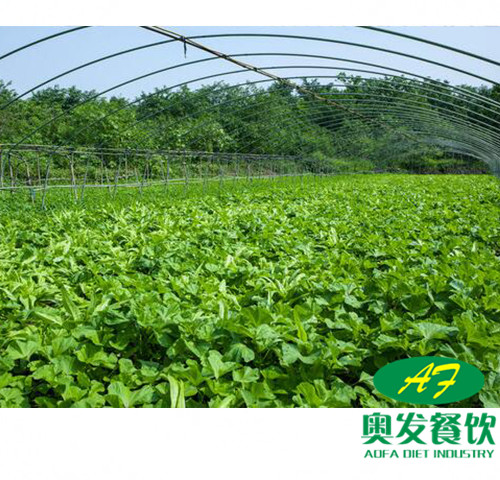 武漢蔬菜配送的運(yùn)作流程是怎樣的？